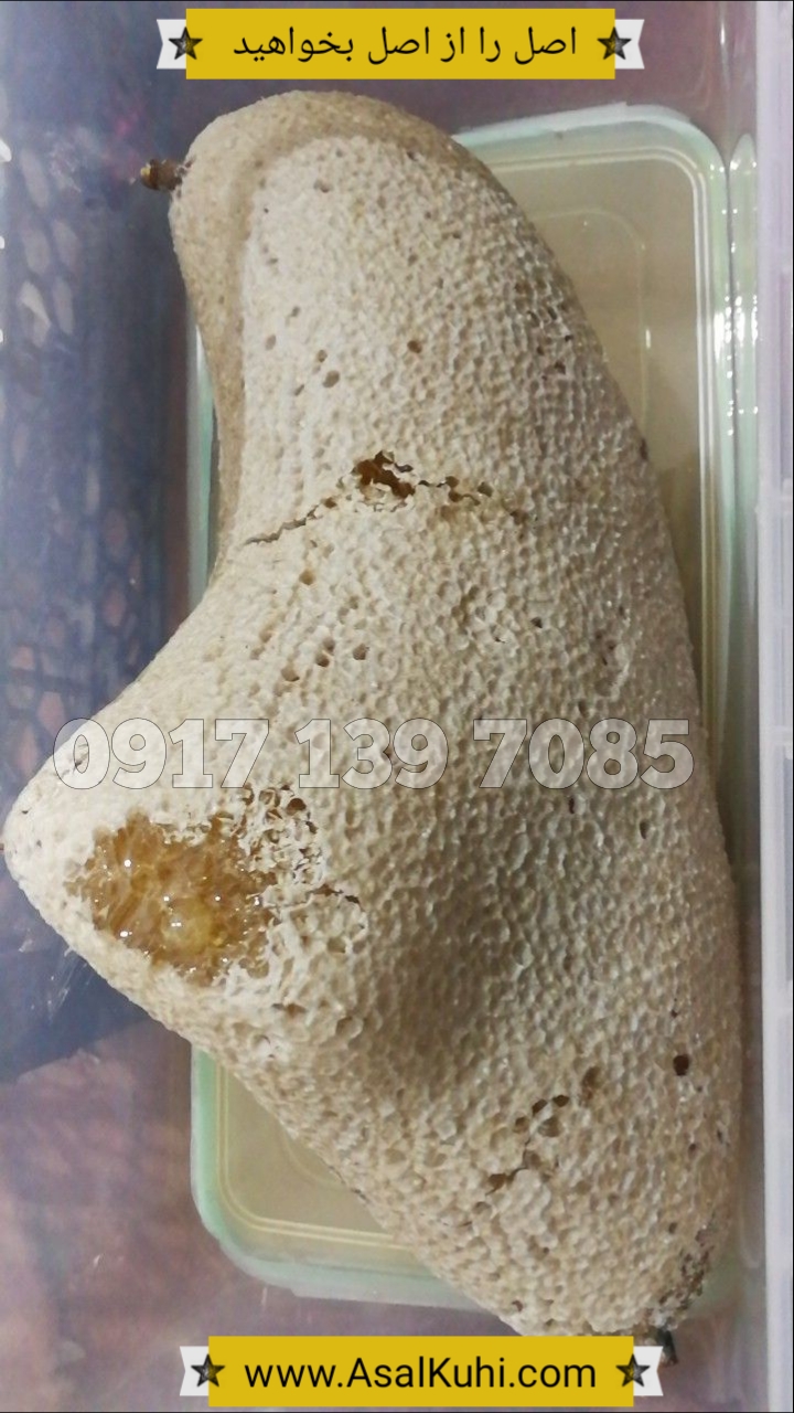 عسل وحشی جنوب
